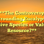 **The Controversy Surrounding Eucalyptus: Invasive Species or Valuable Resource?**