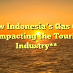 **How Indonesia’s Gas Crisis is Impacting the Tourism Industry**